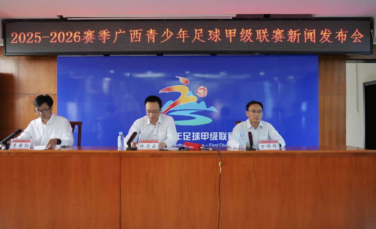 壮锦等元素 壮锦等元素