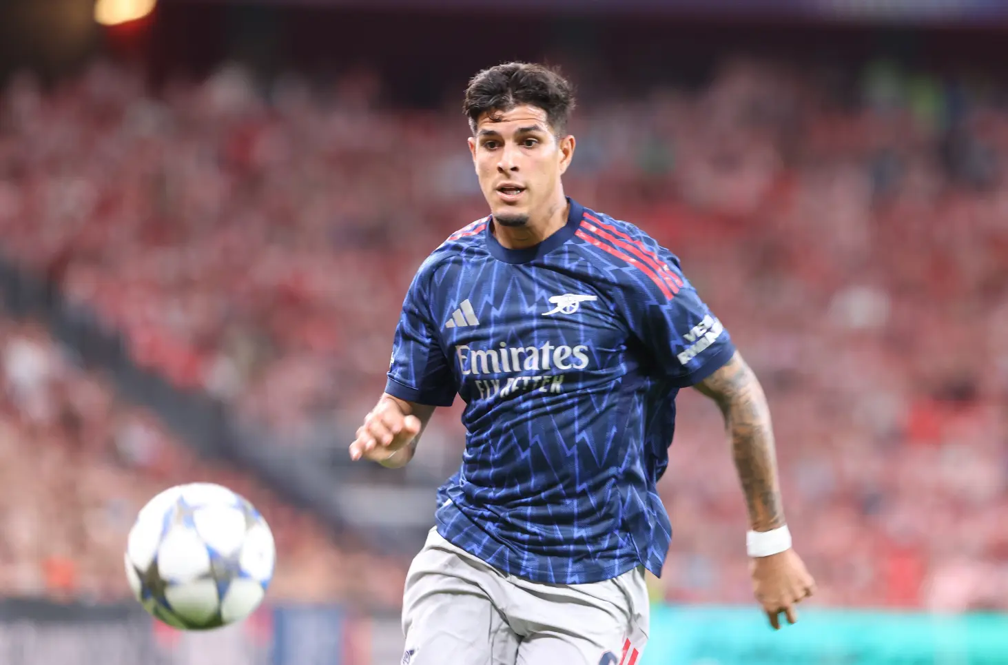 PK约克雷 PK约克雷