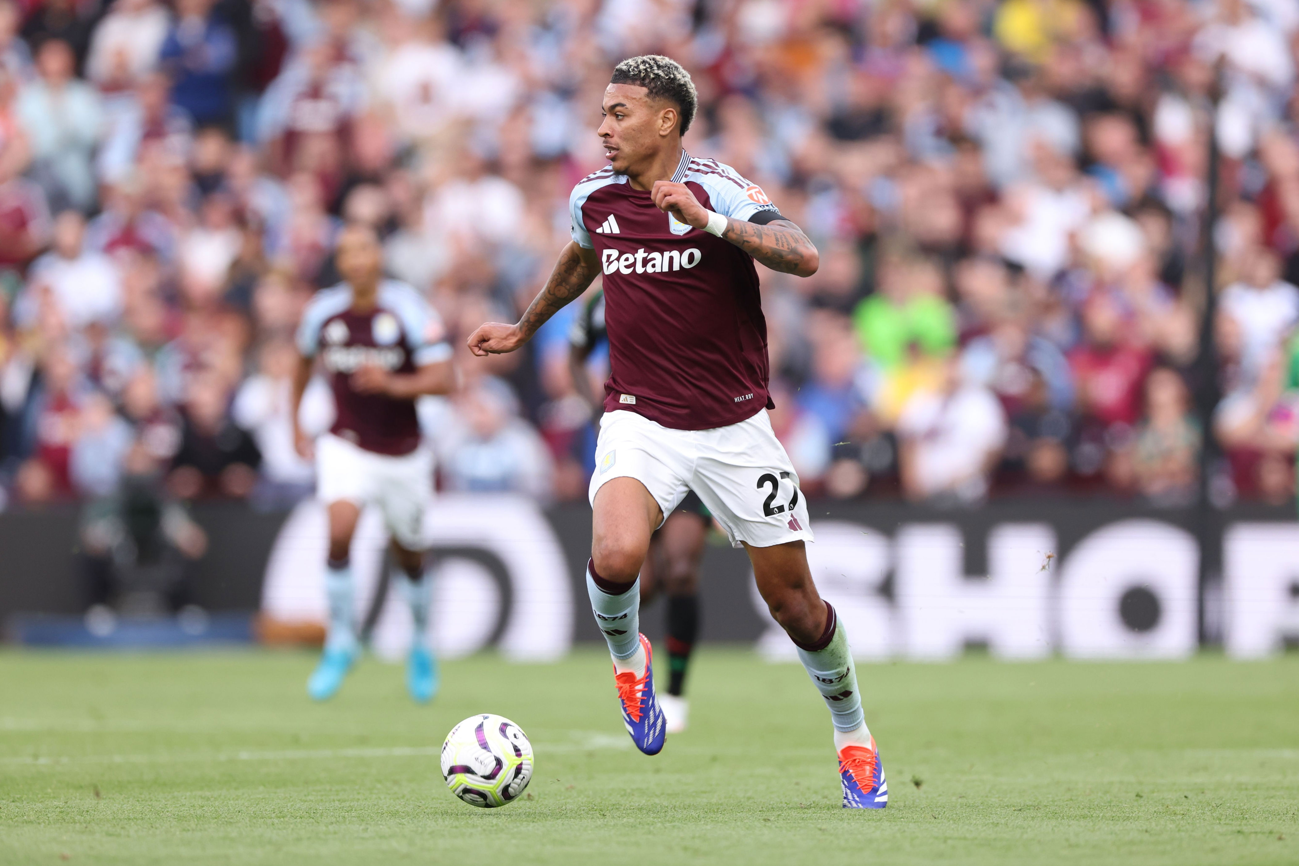 罗杰斯在今, msn, img